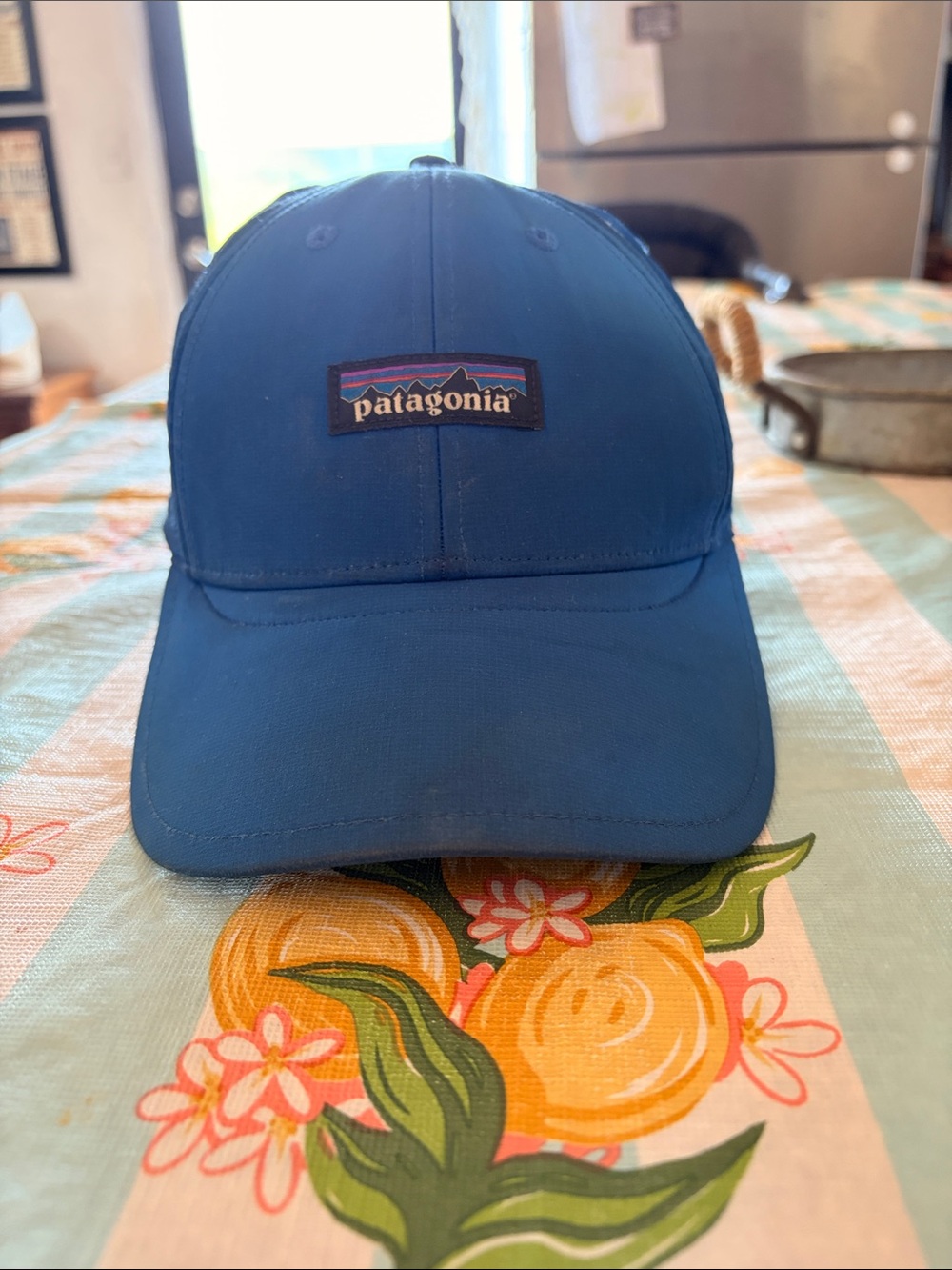 Patagonia Royal Blue Logo Baseball Cap